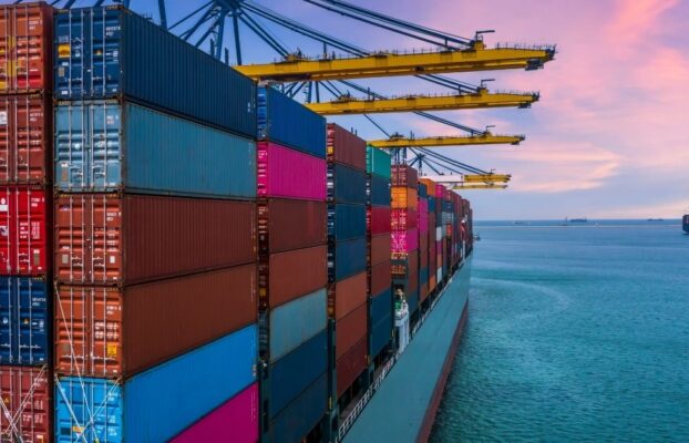 How to Establish an Export Company?